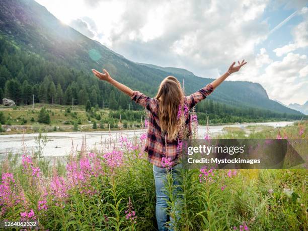 jubelnde frau offene arme bei sonnenaufgang in wilden blumenfeld am fluss - spring flowing water stock-fotos und bilder