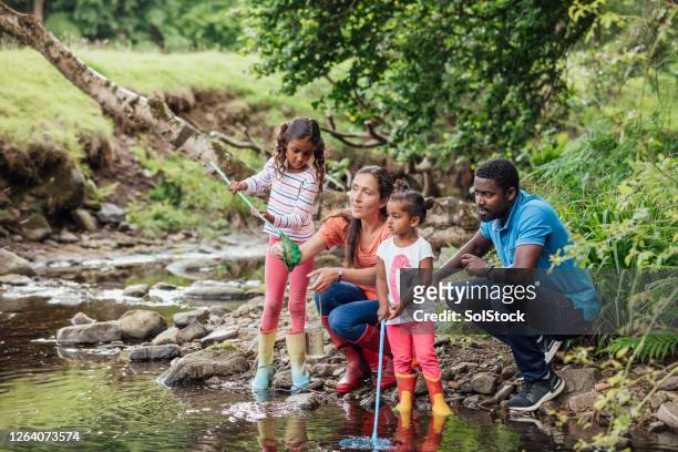 teaching the girls to fish - british woodland stock pictures, royalty-free photos & images