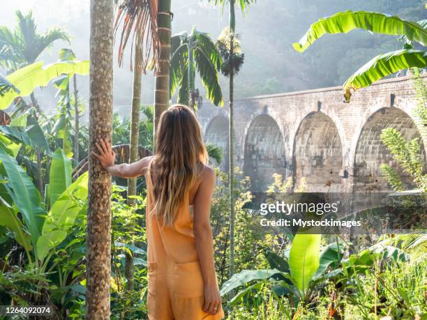 toeristenvrouw die beroemde brug bij zonsondergang overweegt - ella sri lanka stockfoto's en -beelden