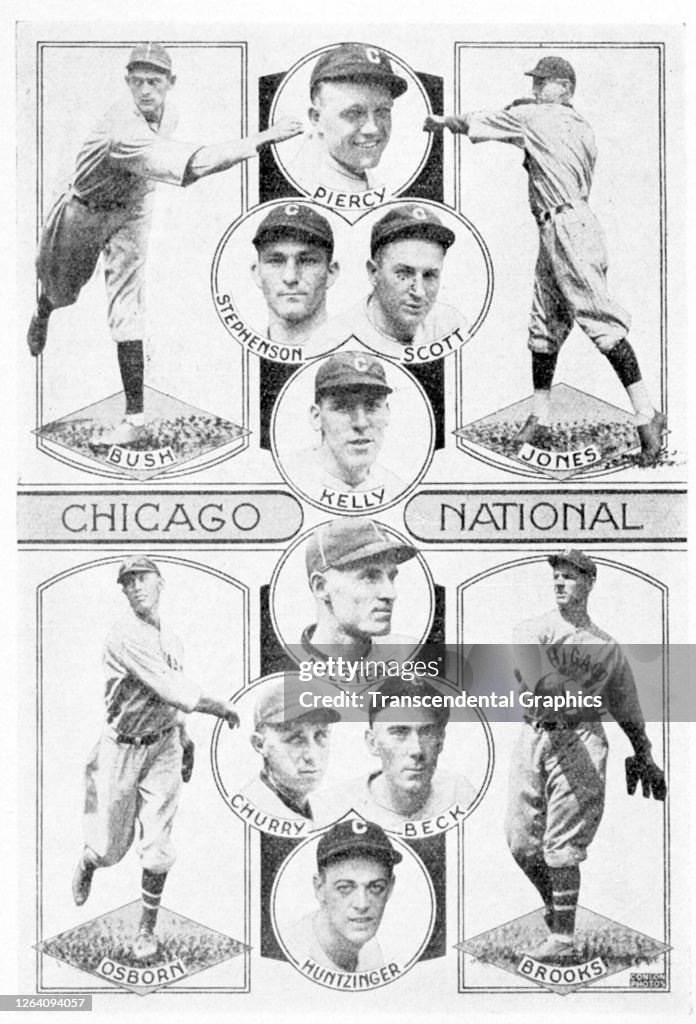 Chicago Cubs Team Collage