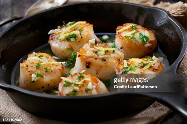 scallops poached in a butter and garlic sauce - sears canada stock pictures, royalty-free photos & images