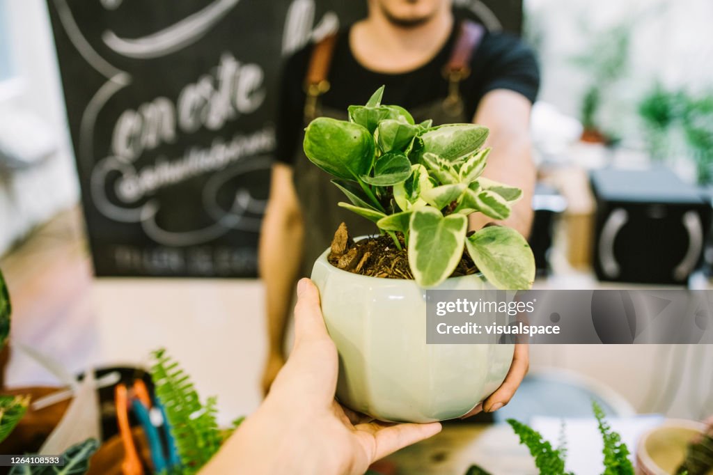Plant Shopping