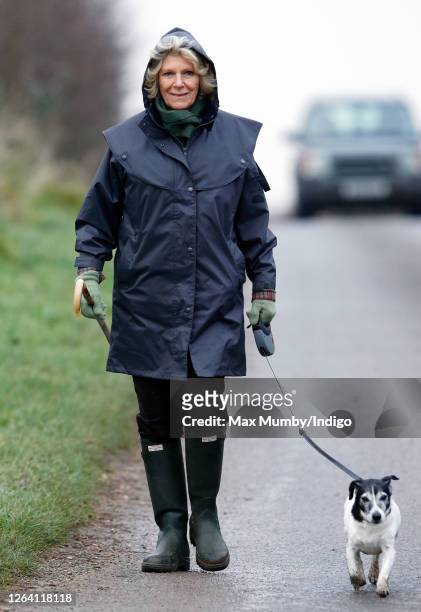 Camilla, Duchess of Cornwall seen out walking her Jack Russell Terrier dog near Sandringham House on December 5, 2008 in King's Lynn, England.