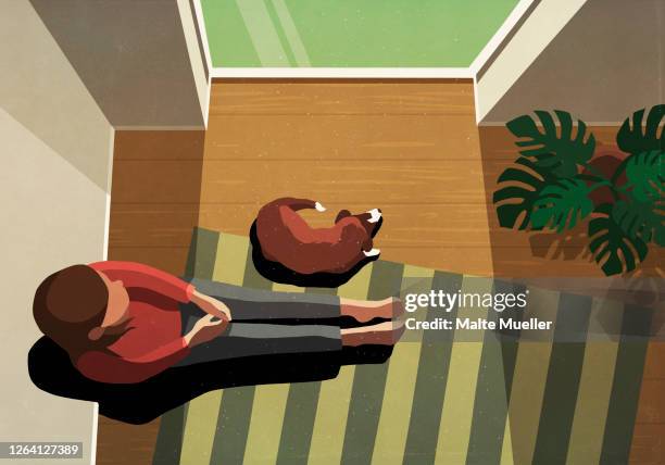 woman and dog sitting in sunny window - tierfreundschaften stock-grafiken, -clipart, -cartoons und -symbole