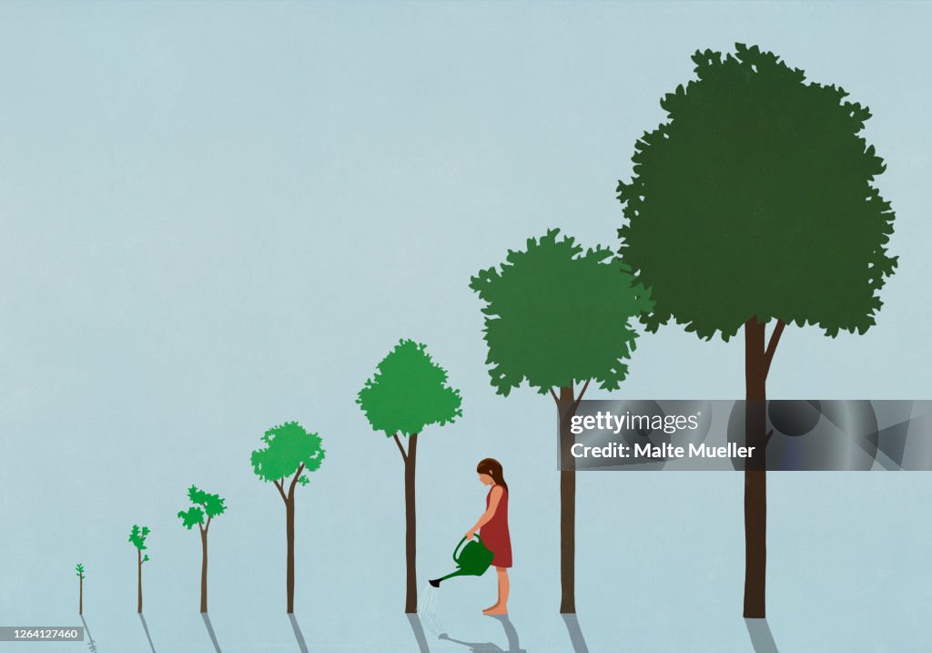 Girl watering sequence of growing trees