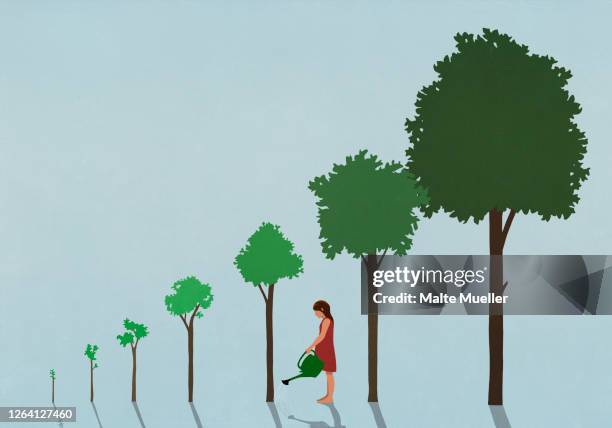 girl watering sequence of growing trees - watering stock illustrations