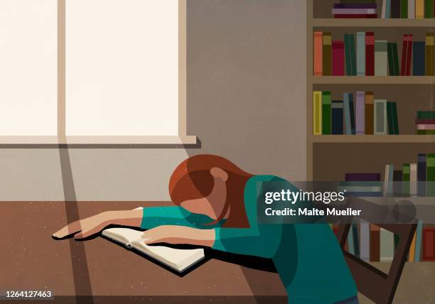 tired college student sleeping on book at sunny table in library - oberkörperaufnahme stock-grafiken, -clipart, -cartoons und -symbole