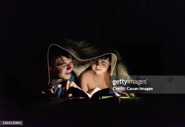 brothers reading a book under a blanket by flashlight at night. - twilight book stock pictures, royalty-free photos & images