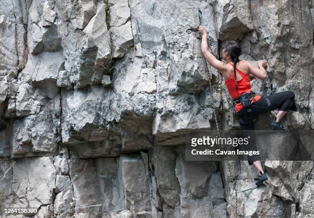 woman climbing limestone rock face in swanage / uk - rock climbing stock pictures, royalty-free photos & images