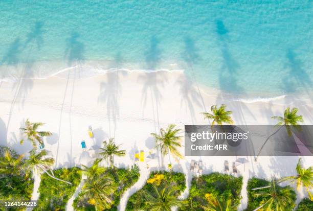 aerial sunset beach panorama, maldives - atoll stock pictures, royalty-free photos & images