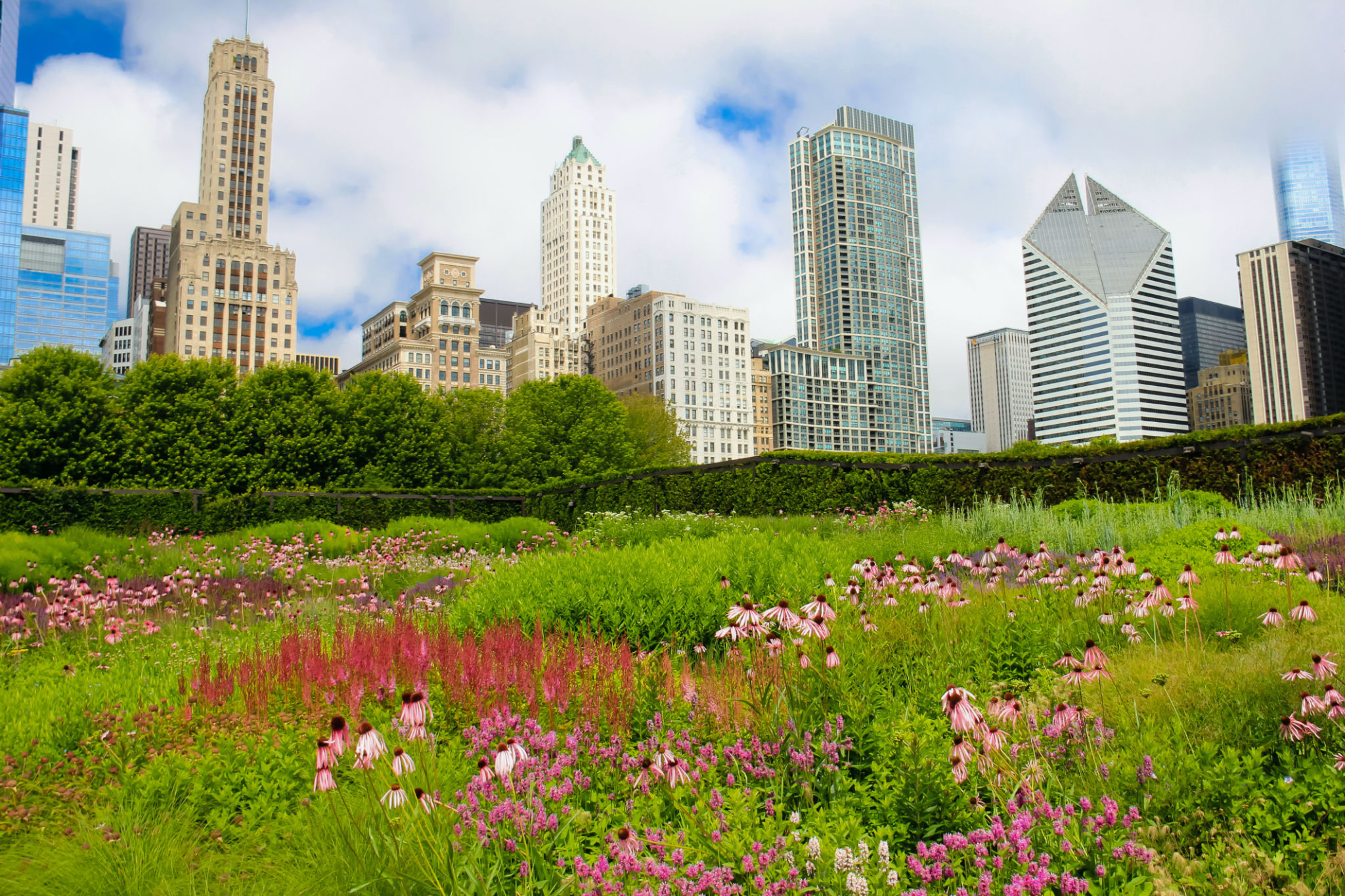 chicago garden