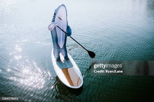 great white shark riding auf paddleboard - albert fish stock-fotos und bilder