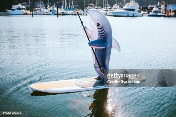 Sharks Images Photos and Premium High Res Pictures - Getty Images