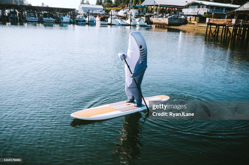 Grote Witte Haai die op Paddleboard berijdt