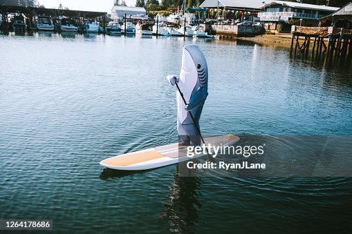 Great White Shark Riding on Paddleboard Great White Shark Riding on Paddleboard