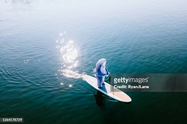 great white shark riding on paddleboard - ironia imagens e fotografias de stock