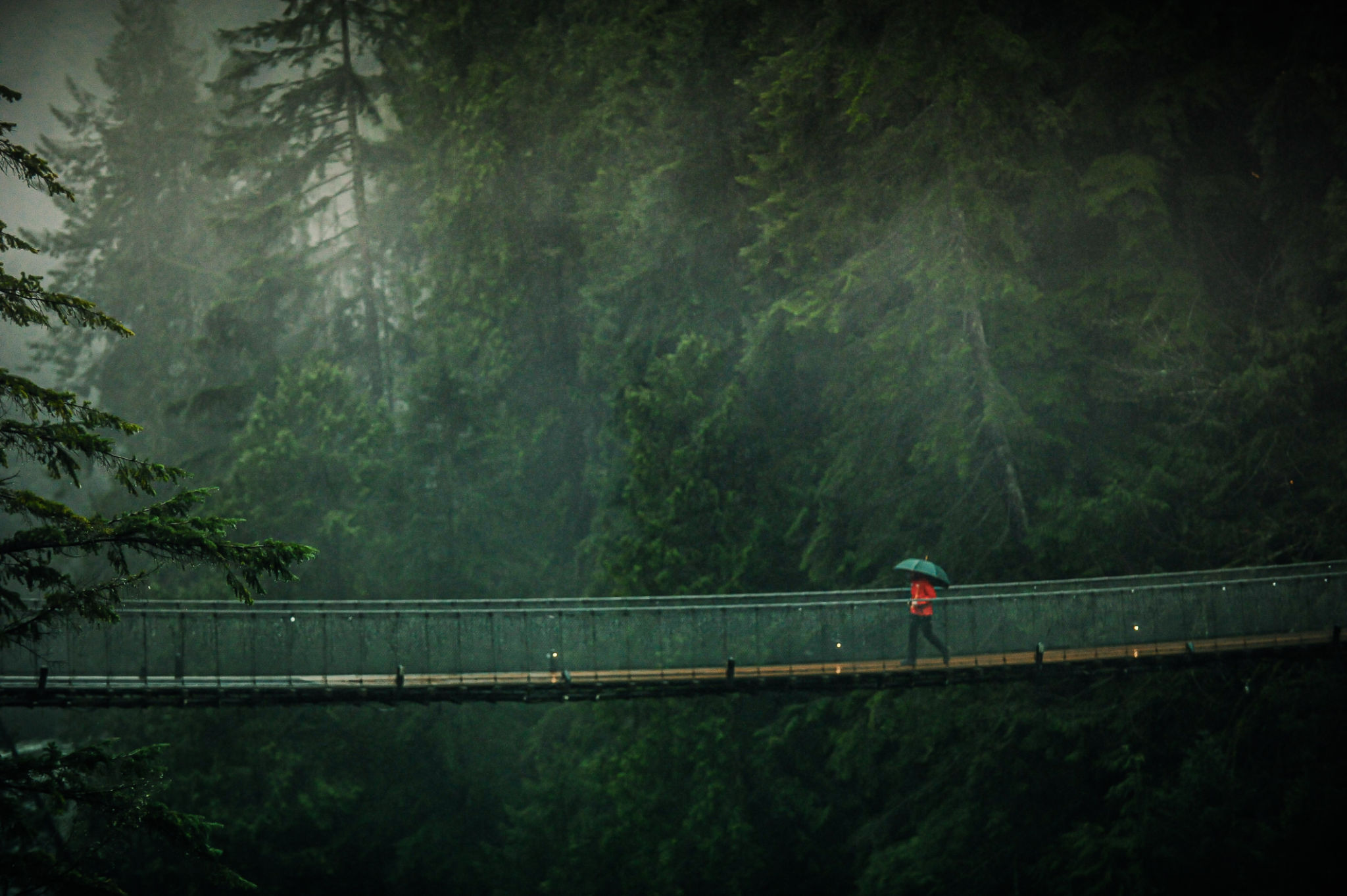 rainy landscape