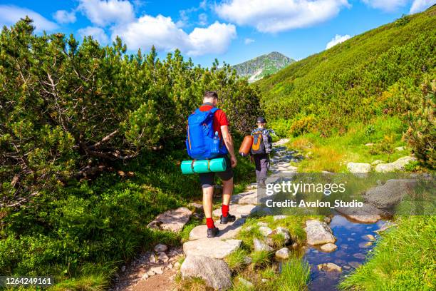 father and son are walking in the mountains - tatra mountains stock pictures, royalty-free photos & images