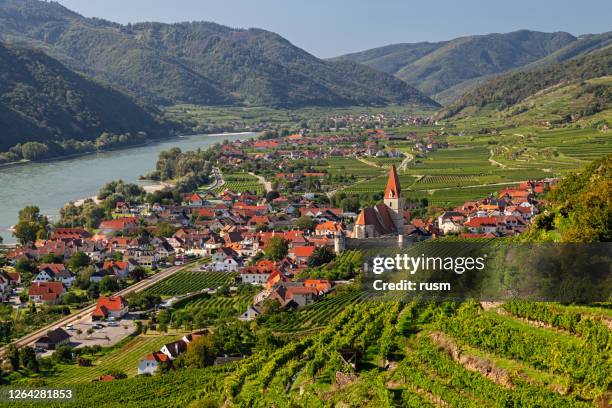 aerial panorama of weisenkirchen in der wachau town and vineyards at autumn. wachau valley, austria - dürnstein stock pictures, royalty-free photos & images