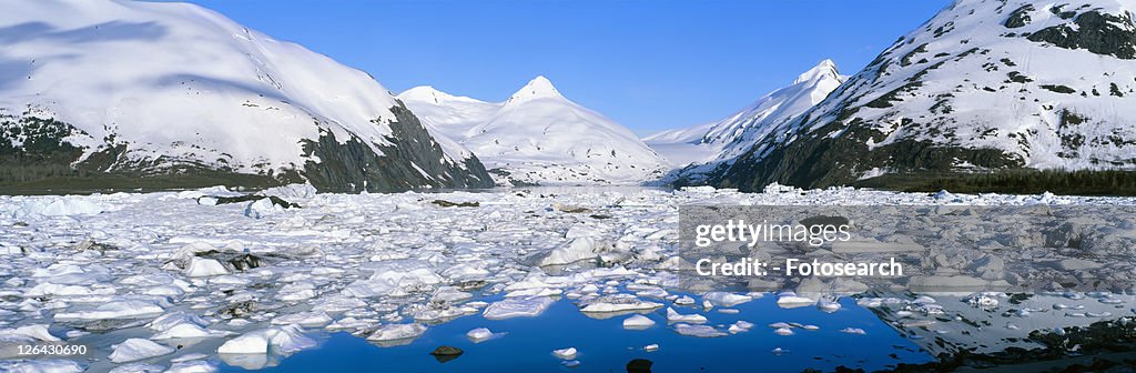 Icebergs and glacier