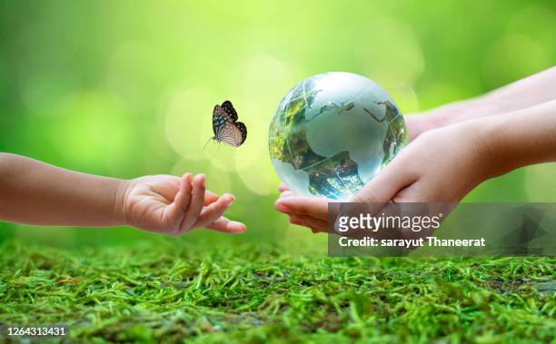 adults are sending the world to babies. concept day earth save the world save environment the world is in the grass of the green bokeh background - child globe stockfoto's en -beelden