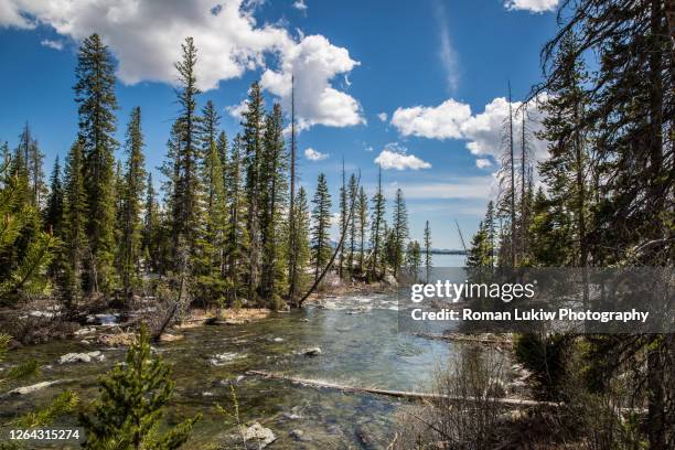 stream runs into yellowstone lake - yellowstone national park stock pictures, royalty-free photos & images