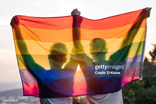 schwules paar - gay flag stock-fotos und bilder