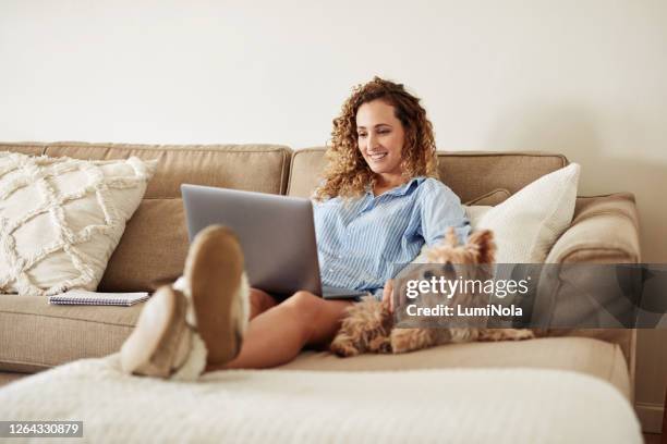 the cutest companion for quarantine - laptop couch stock pictures, royalty-free photos & images