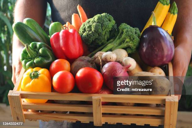 close-up beeld van onherkenbare persoon die houten producten krat vol groenten en fruit, waaronder aardappelen, rode uien, tomaten, champignons, gele, groene en rode paprika's, rode biet, aubergines, courgettes, broccoli, wortelen en komkommers - orange bell pepper stockfoto's en -beelden