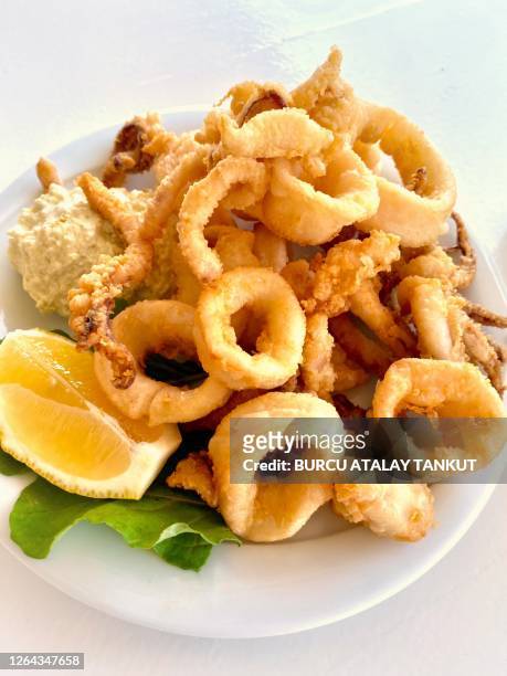 calamari fritters - calamares stock-fotos und bilder