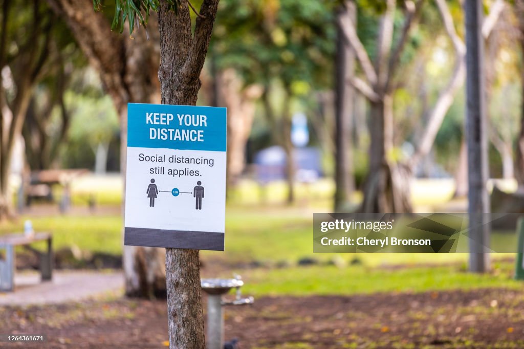A COVID-19 sign nailed to a tree in a park.
