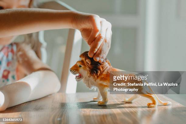 close up of a preschool age girl's hand while playing with a lion figure - toy animal stock-fotos und bilder