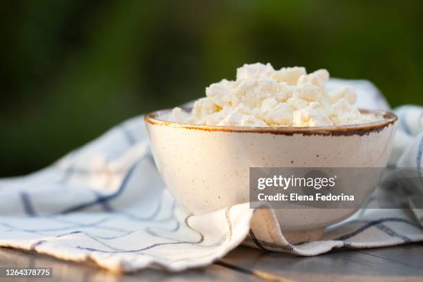 delicious fresh cottage cheese. - curd cheese stock pictures, royalty-free photos & images