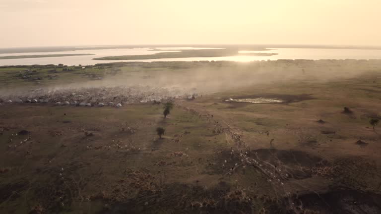 434 Cattle Camp Stock Videos Footage 4K Video Clips Getty Images 434-cattle-camp-stock-videos-footage-4k-video-clips-getty-images
