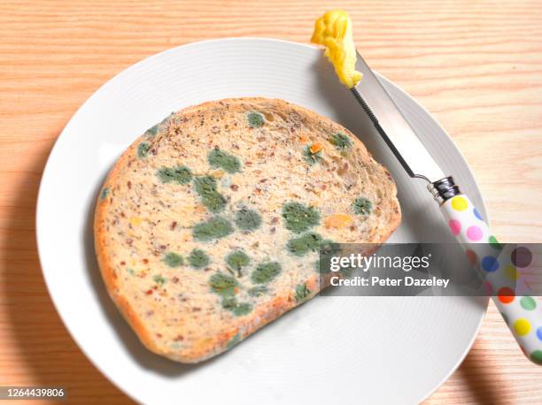 discovery of mould on slice of bread - moldy bread stock pictures, royalty-free photos & images