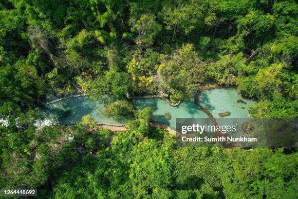 watershed forest of topview lake blue pond small creek rushes down the rock around the forest in thailand, surat thani's khiri rat nikhom district. - province de surat thani photos et images de collection