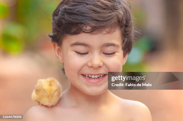 boy and his chicks - sorrisos stock-fotos und bilder