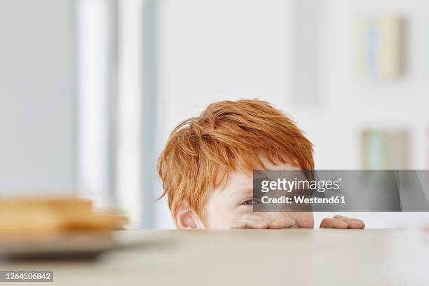 portrait of a cute boy at home with plate on table - redhead boy fotografías e imágenes de stock