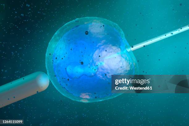 three dimensional render of stem cell being injected with dna - stem cell stock illustrations
