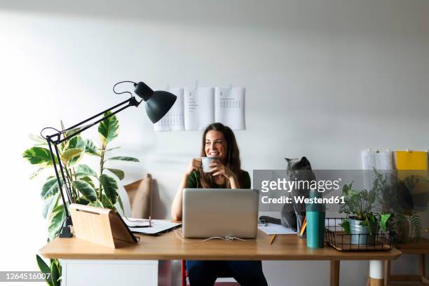 smiling businesswoman with cat on desk having drink in home office - lavoro a domicilio foto e immagini stock