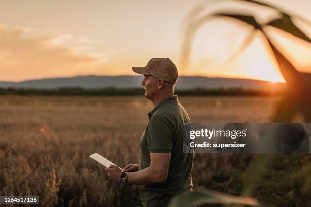 el agricultor adulto medio inspecciona su tierra - mid adult men fotografías e imágenes de stock