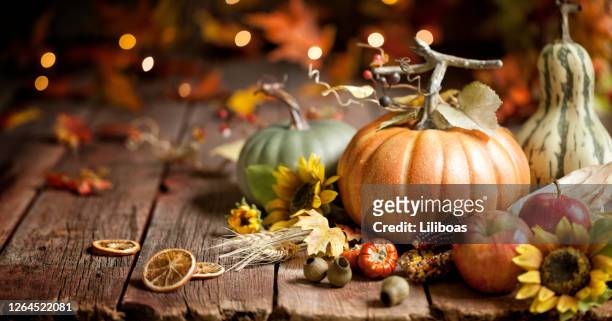 autumn pumpkin background - gourd stock pictures, royalty-free photos & images