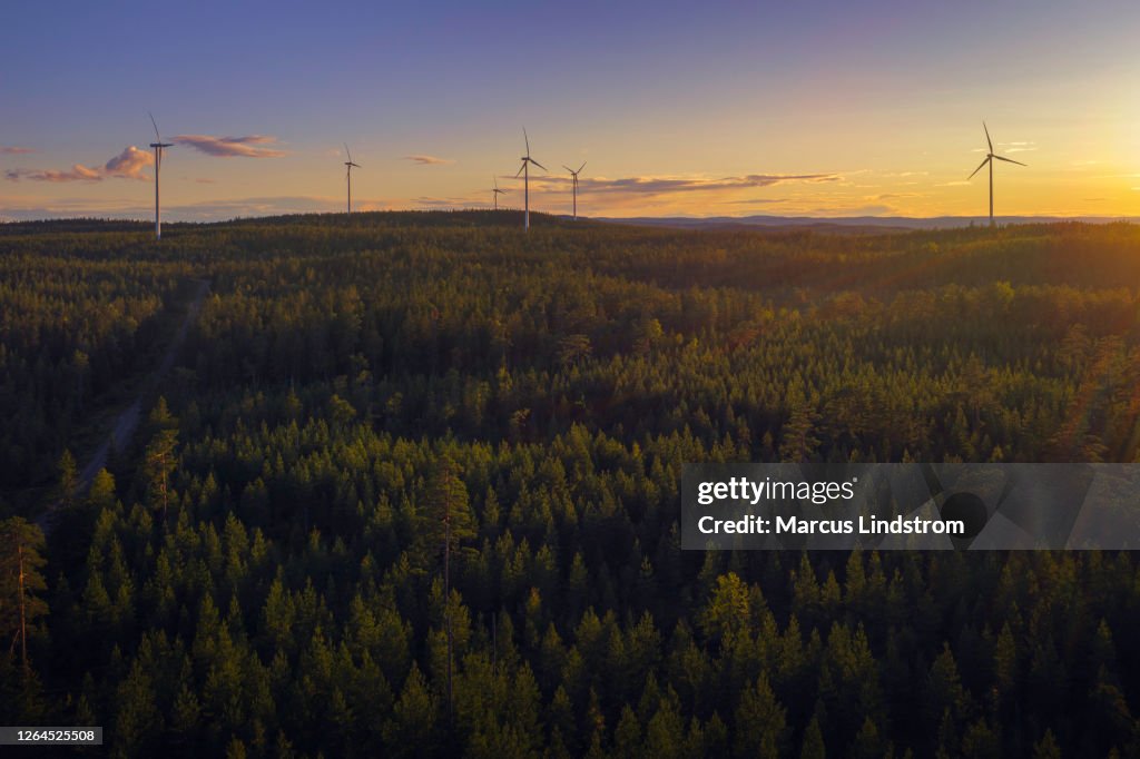 Wind power stations in a forest landscape