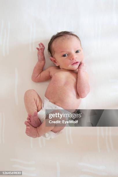 portrait of a newborn baby laying on her back looking into camera. - one baby girl only stock pictures, royalty-free photos & images