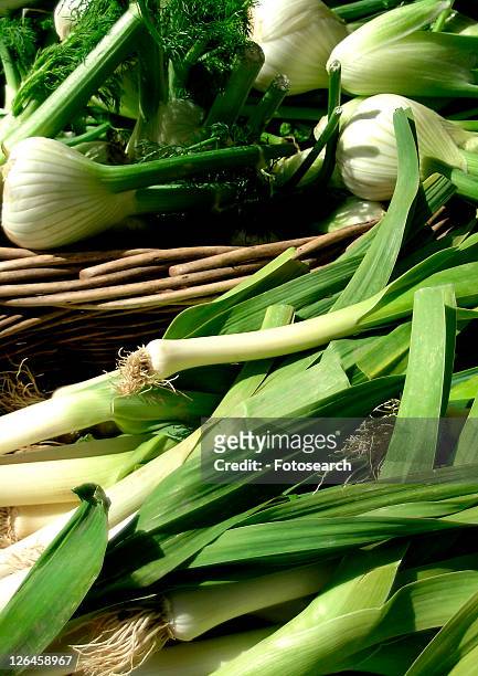 eating, close, eat, drink, close-up, fenchel, allium - fenchel stock pictures, royalty-free photos & images