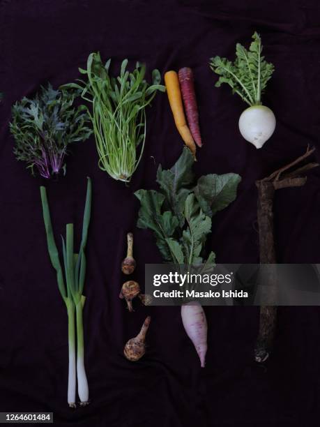 kyo-yasai (traditional vegetables in kyoto -including mizuna,mibuna,kintoki-ninjin,shogoin-daikon,horikawa-gobo,daikon,ebi-imo,kujo-negi) on purple japanese wrapping cloth called furoshiki - carrots white background stockfoto's en -beelden