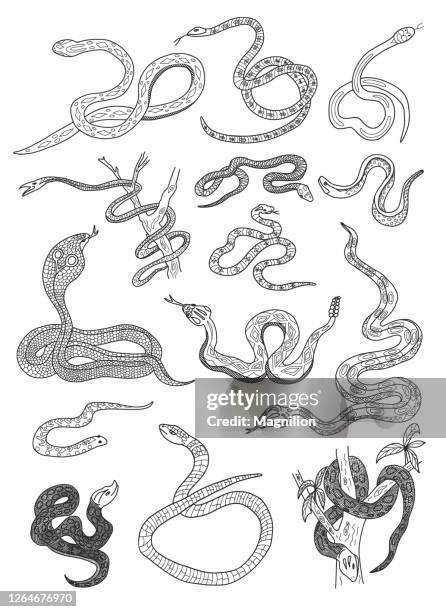 illustrazioni stock, clip art, cartoni animati e icone di tendenza di set di doodle serpenti - snake drawing