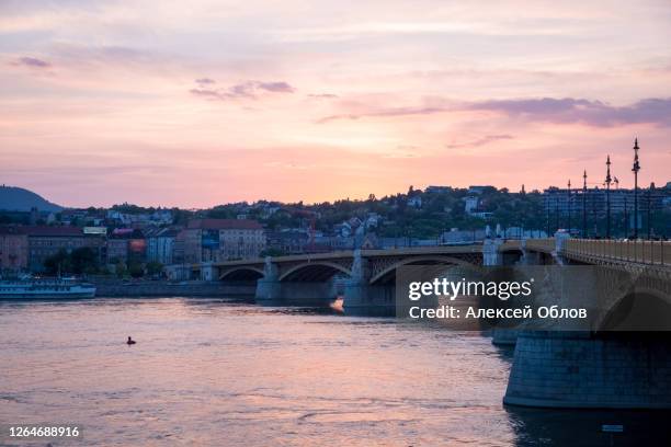margit or margaret bridge in budapest at sunset - beautiful blue danube stock pictures, royalty-free photos & images