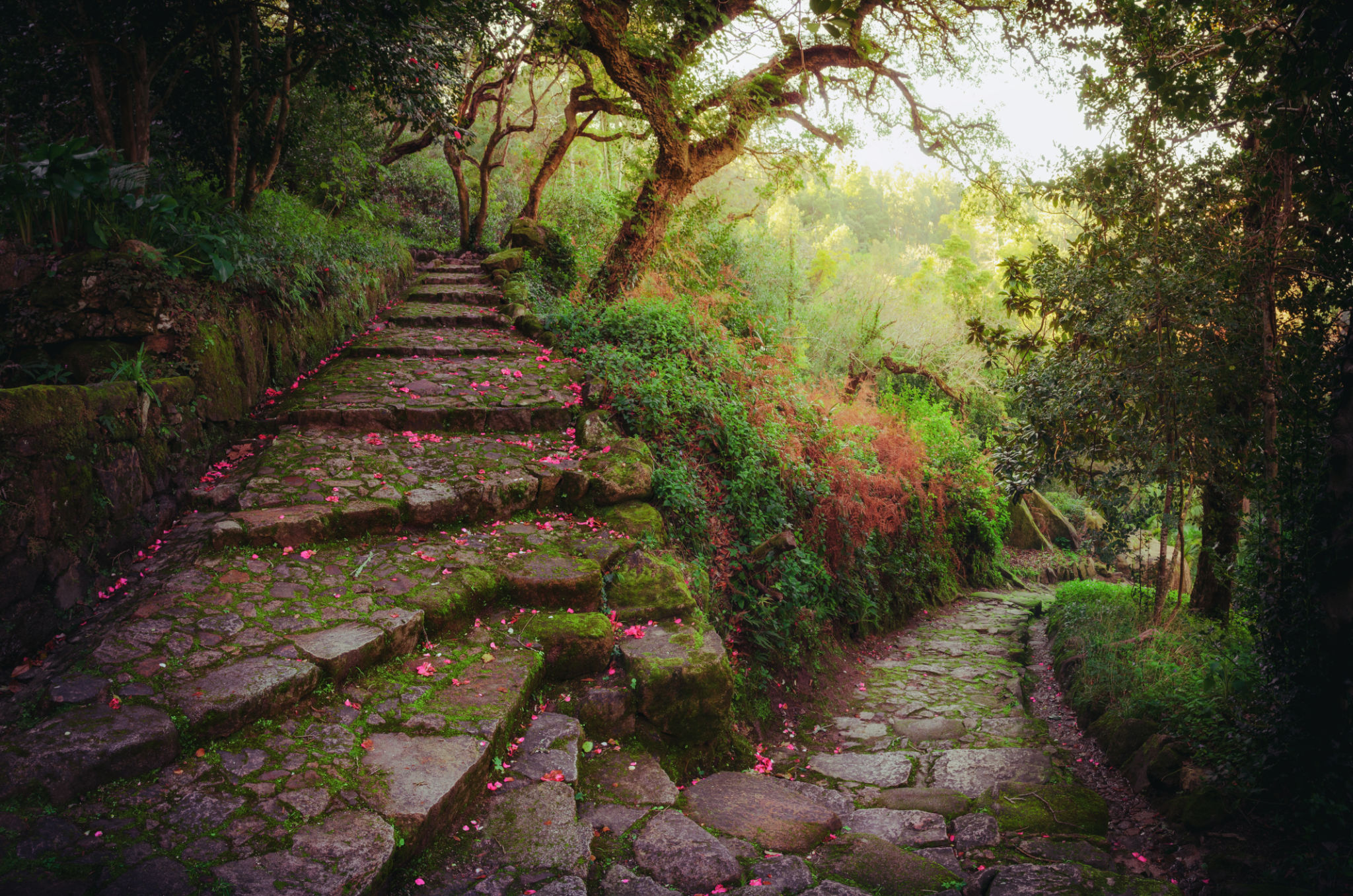 sintra trails
