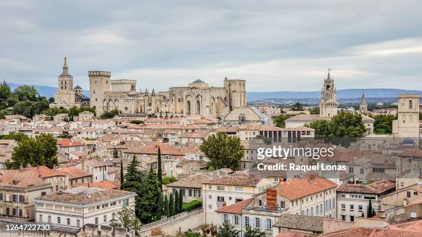town of avignon, france with palais des papes and cathedral - avignon stock-fotos und bilder